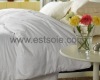 Winter White Soft and Luxury-100% Pure Silk Quilt