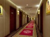 Wool and nylon blend axminster carpet for hotel corridor