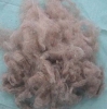 Wool waste