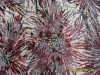 Woven fabric, Jaquard fabric
