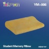 YM-006 ECO-friendly Memory Foam Pillow