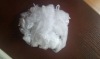 Yarn using short fiber export