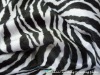 Zebra Patterns Printed