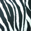 Zebra Printed Elastane Nylon Fabric For Lingerie