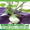 agriculture nonwoven pp fabric for weed cover