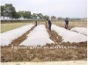 agriculture use nonwoven fabric