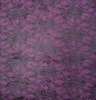 allover nylon lace