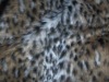 animal jacquard fake fur