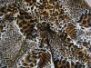 animal print velvet fabric,cushion cover fabric