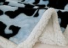 animal printed PV winter coral fleece blanket