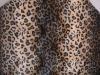 animal printed velour fabric