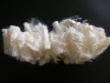 aramid staple fiber
