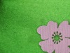 background felt