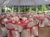 banquet chair cover&organza sash