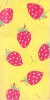beach towel