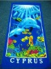 beach towel