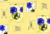 bed sheet print