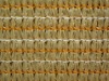 beige shade cloth