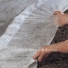biodegradable nonwoven fabric