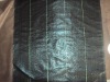 blac Pp Woven Fabric with green stripes as ground cover