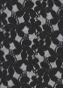 black lace fabric