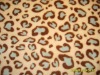 blanket fabric