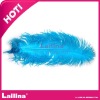 blue Ostrich feather