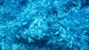 blue polyester knitted warp toy fabric