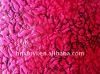 bronzed polyester textile fabric