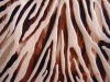 bronzed polyester textile fabric