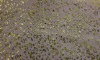 bronzing organza