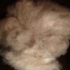 brown cashmere fibre