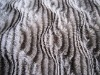 brushed plush fabric