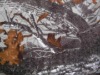 camo fleece fabric