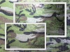 camouflage color sequin embroidery fabric