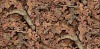 camouflage fabric