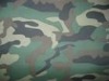 camouflage printed T/C fabric for clothing 20*16