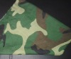 camouflage suit