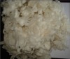 carbonize combed short wool