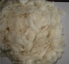 carbonize combed short wool