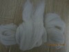 careded wool top