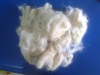 carpet grade wool fiber