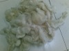 carpet wool