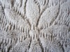 carved polyester fabric