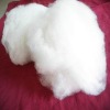 cashmere fiber