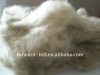 cashmere fiber pashmina fiber