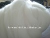 cashmere fiber/ sheep Wool