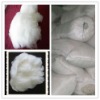 cashmere fibre