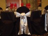 chair cover