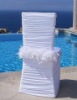 chair cover with plume sash